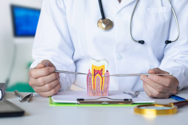 Best Emergency Pediatric Dental Care in Countryside, VA
